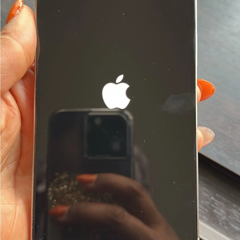 Apple iPhone in Sleek Silver